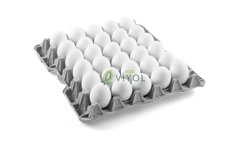 30 LU KARTON YUMURTA VİYOLÜ 17 LBS