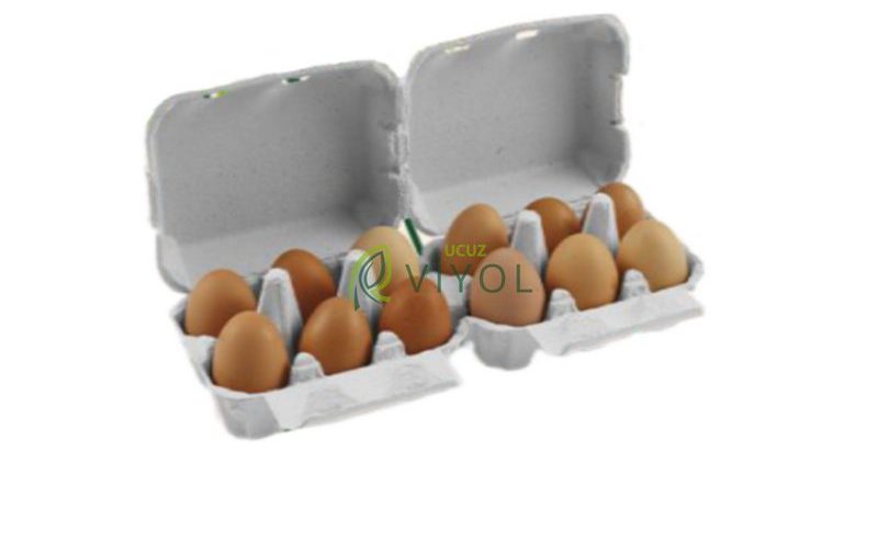 6 LI KARTON KAPAKLI YUMURTA VİYOLÜ