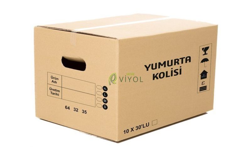 30'LU VİYOL TAŞIMA KOLİSİ