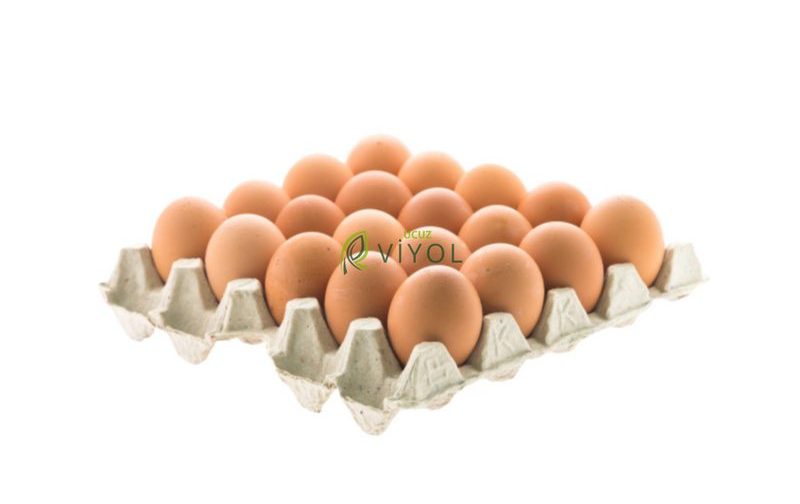 20'Lİ KARTON YUMURTA VİYOLÜ 25 LBS