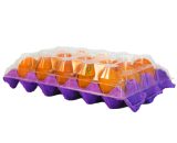 15 Li Karton Yumurta Viyolü Plastik Üst Kapağı